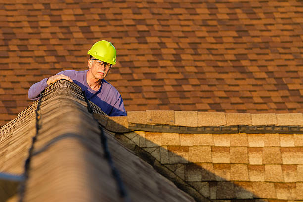Best Roof Gutter Cleaning  in Clearfield, UT